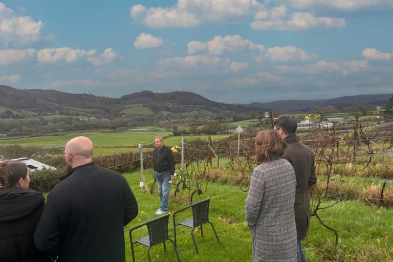 People enjoying a Welsh wine tour at Gwinllan Conwy Vineyard