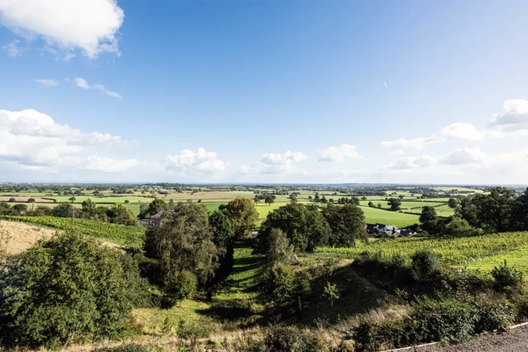 Goldford Estate vineyard and Cheshire countryside views for The Cheshire Wine Experience from Chester