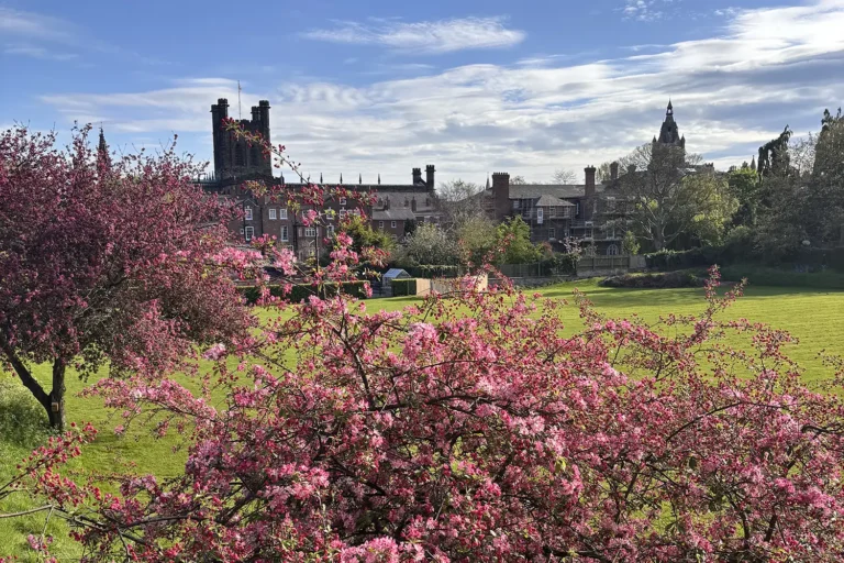View from Chester city walls with spring blossom and historic buildings