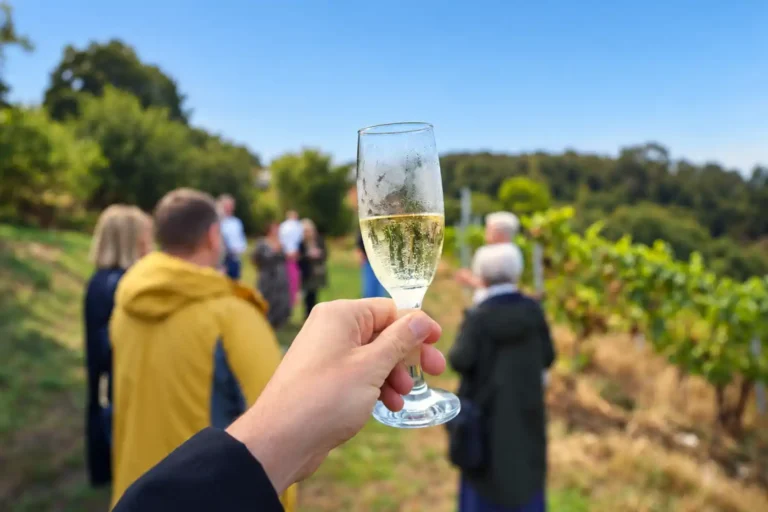 Guests enjoying a guided vineyard tour at Goldford Wine in Cheshire
